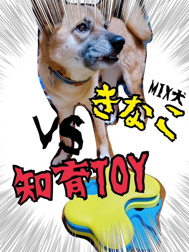 Amq7 Wf7jea Qm Amq7 Wf7jea Qm